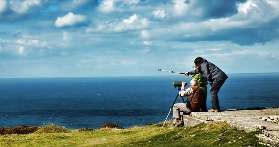 Innovation Scouting